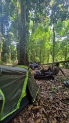 Mabu camp