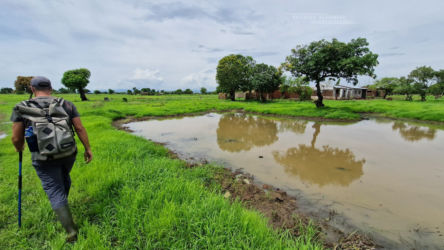 Proatheris habitat